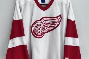 Own a Piece of History: Vintage Red Wings Jersey Collection Safem Fabrication - Precision Engineering & Custom Manufacturing Solutions Own a Piece of History: Vintage Red Wings Jersey Collection | Safem Fabrication - Precision Engineering & Custom Manufacturing Solutions