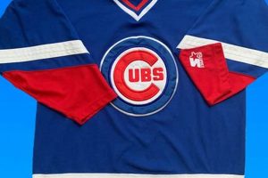 Own a Piece of History: Vintage Chicago Cubs Jersey Collection Safem Fabrication - Precision Engineering & Custom Manufacturing Solutions Own a Piece of History: Vintage Chicago Cubs Jersey Collection | Safem Fabrication - Precision Engineering & Custom Manufacturing Solutions
