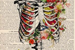 Explore: Anatomy Vintage Posters & Art Prints Safem Fabrication - Precision Engineering & Custom Manufacturing Solutions Explore: Anatomy Vintage Posters & Art Prints | Safem Fabrication - Precision Engineering & Custom Manufacturing Solutions