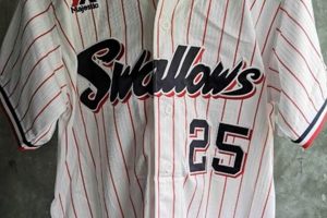 Score Big: Vintage Sports Jerseys & More! Safem Fabrication - Precision Engineering & Custom Manufacturing Solutions Score Big: Vintage Sports Jerseys & More! | Safem Fabrication - Precision Engineering & Custom Manufacturing Solutions