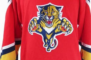 Buy a Classic: Vintage Florida Panthers Jersey Guide Safem Fabrication - Precision Engineering & Custom Manufacturing Solutions Buy a Classic: Vintage Florida Panthers Jersey Guide | Safem Fabrication - Precision Engineering & Custom Manufacturing Solutions