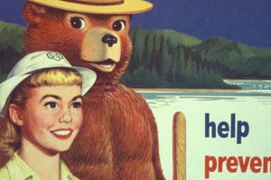 Collectible Vintage Smokey Bear Posters: Values & Guide Safem Fabrication - Precision Engineering & Custom Manufacturing Solutions Collectible Vintage Smokey Bear Posters: Values & Guide | Safem Fabrication - Precision Engineering & Custom Manufacturing Solutions
