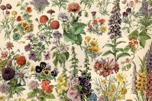 Shop Antique Botanical Posters Prints Today Safem Fabrication - Precision Engineering & Custom Manufacturing Solutions Shop Antique Botanical Posters Prints Today | Safem Fabrication - Precision Engineering & Custom Manufacturing Solutions