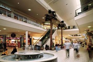 Find Unique Vintage Faire Mall Stores Near You + More! Safem Fabrication - Precision Engineering & Custom Manufacturing Solutions Find Unique Vintage Faire Mall Stores Near You + More! | Safem Fabrication - Precision Engineering & Custom Manufacturing Solutions