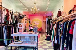 Find Your Style: Vintage Store Williamsburg Brooklyn Gems Safem Fabrication - Precision Engineering & Custom Manufacturing Solutions Find Your Style: Vintage Store Williamsburg Brooklyn Gems | Safem Fabrication - Precision Engineering & Custom Manufacturing Solutions