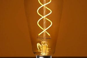 Shop LED Vintage Light Bulbs: Style & Savings! Safem Fabrication - Precision Engineering & Custom Manufacturing Solutions Shop LED Vintage Light Bulbs: Style & Savings! | Safem Fabrication - Precision Engineering & Custom Manufacturing Solutions