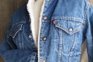 Buy a Levi's Jean Jacket Vintage: Style & Value Safem Fabrication - Precision Engineering & Custom Manufacturing Solutions Buy a Levi's Jean Jacket Vintage: Style & Value | Safem Fabrication - Precision Engineering & Custom Manufacturing Solutions