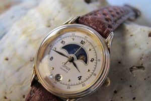 Explore: Vintage Timex Ladies Watch - Collectibles Safem Fabrication - Precision Engineering & Custom Manufacturing Solutions Explore: Vintage Timex Ladies Watch - Collectibles | Safem Fabrication - Precision Engineering & Custom Manufacturing Solutions