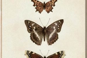 Timeless Vintage Butterfly Wall Art Decor Safem Fabrication - Precision Engineering & Custom Manufacturing Solutions Timeless Vintage Butterfly Wall Art Decor | Safem Fabrication - Precision Engineering & Custom Manufacturing Solutions