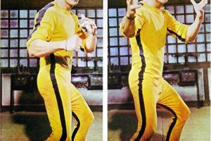 Buy Vintage Bruce Lee Posters Now! Rare Movie Art Safem Fabrication - Precision Engineering & Custom Manufacturing Solutions Buy Vintage Bruce Lee Posters Now! Rare Movie Art | Safem Fabrication - Precision Engineering & Custom Manufacturing Solutions