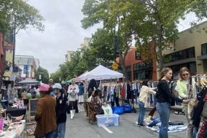 Find Best Vintage Clothing Stores in Berkeley, CA (Guide) Safem Fabrication - Precision Engineering & Custom Manufacturing Solutions Find Best Vintage Clothing Stores in Berkeley, CA (Guide) | Safem Fabrication - Precision Engineering & Custom Manufacturing Solutions