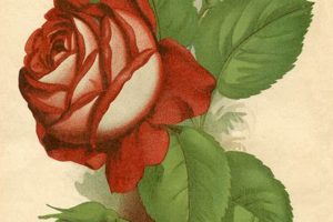 Discover & Print: Vintage Art for Your Walls! Safem Fabrication - Precision Engineering & Custom Manufacturing Solutions Discover & Print: Vintage Art for Your Walls! | Safem Fabrication - Precision Engineering & Custom Manufacturing Solutions