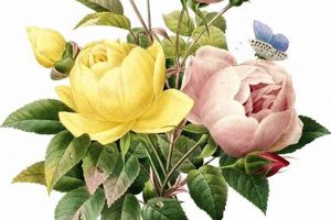 Buy Vintage Art Flowers: Timeless Floral Art Safem Fabrication - Precision Engineering & Custom Manufacturing Solutions Buy Vintage Art Flowers: Timeless Floral Art | Safem Fabrication - Precision Engineering & Custom Manufacturing Solutions
