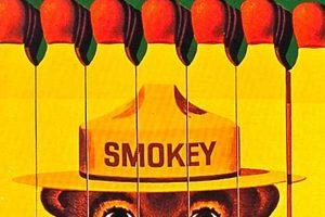 Collecting Smokey Bear Vintage Posters: A Guide Safem Fabrication - Precision Engineering & Custom Manufacturing Solutions Collecting Smokey Bear Vintage Posters: A Guide | Safem Fabrication - Precision Engineering & Custom Manufacturing Solutions