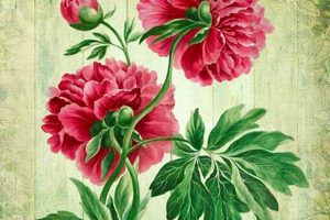 Timeless Vintage Floral Art: Decor & More Safem Fabrication - Precision Engineering & Custom Manufacturing Solutions Timeless Vintage Floral Art: Decor & More | Safem Fabrication - Precision Engineering & Custom Manufacturing Solutions