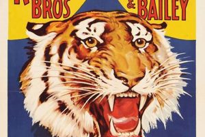 Epic Vintage Circus Posters: Art, History & More Safem Fabrication - Precision Engineering & Custom Manufacturing Solutions Epic Vintage Circus Posters: Art, History & More | Safem Fabrication - Precision Engineering & Custom Manufacturing Solutions