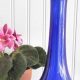 Collecting Vintage Cobalt Blue Glass: Timeless Beauty | Vintage Treasures: Discover Rare Antiques, Collectibles & Retro Finds