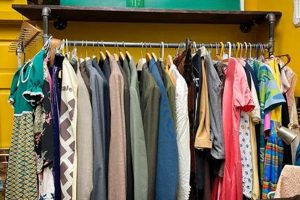 Best Vintage Clothing Stores Minneapolis: Styles & Finds Vintage Treasures: Discover Rare Antiques, Collectibles & Retro Finds Best Vintage Clothing Stores Minneapolis: Styles & Finds | Vintage Treasures: Discover Rare Antiques, Collectibles & Retro Finds