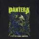 Rare Vintage Pantera T Shirts: Band Tees & More | Vintage Treasures: Discover Rare Antiques, Collectibles & Retro Finds