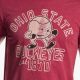 Shop Ohio State Vintage Shirts: Buckeyes Throwbacks! | Vintage Treasures: Discover Rare Antiques, Collectibles & Retro Finds