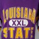 Buy Vintage LSU Jersey: Rare Finds & Collector's Items | Vintage Treasures: Discover Rare Antiques, Collectibles & Retro Finds