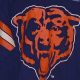 Buy Vintage Chicago Bears Shirts: Classic Throwbacks! | Vintage Treasures: Discover Rare Antiques, Collectibles & Retro Finds