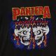 Rare Pantera Shirt Vintage: Collector's Guide & Values | Vintage Treasures: Discover Rare Antiques, Collectibles & Retro Finds