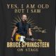 Rare Springsteen T Shirts Vintage: A Collector's Guide | Vintage Treasures: Discover Rare Antiques, Collectibles & Retro Finds