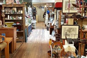Best Atlanta Vintage Stores: Your Guide to Retro Finds Vintage Treasures: Discover Rare Antiques, Collectibles & Retro Finds Best Atlanta Vintage Stores: Your Guide to Retro Finds | Vintage Treasures: Discover Rare Antiques, Collectibles & Retro Finds