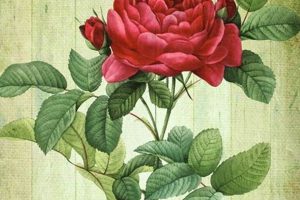 Timeless Vintage Floral Art: Decor & More Vintage Treasures: Discover Rare Antiques, Collectibles & Retro Finds Timeless Vintage Floral Art: Decor & More | Vintage Treasures: Discover Rare Antiques, Collectibles & Retro Finds