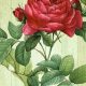 Timeless Vintage Floral Art: Decor &amp; More | Vintage Treasures: Discover Rare Antiques, Collectibles & Retro Finds