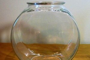 Buy Antique Vintage Glass Fish Bowls + Decor Vintage Treasures: Discover Rare Antiques, Collectibles & Retro Finds Buy Antique Vintage Glass Fish Bowls + Decor | Vintage Treasures: Discover Rare Antiques, Collectibles & Retro Finds