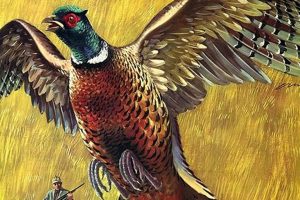 Buy Vintage Hunting Posters: Art, History & More Vintage Treasures: Discover Rare Antiques, Collectibles & Retro Finds Buy Vintage Hunting Posters: Art, History & More | Vintage Treasures: Discover Rare Antiques, Collectibles & Retro Finds