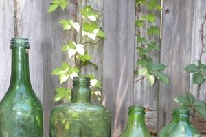 Collecting Vintage Green Glass Bottles: A Guide Vintage Treasures: Discover Rare Antiques, Collectibles & Retro Finds Collecting Vintage Green Glass Bottles: A Guide | Vintage Treasures: Discover Rare Antiques, Collectibles & Retro Finds