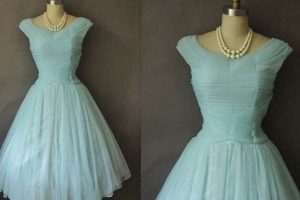 Shop Elegant Vintage Chiffon Dresses | [Brand Name] | Vintage Treasures: Discover Rare Antiques, Collectibles & Retro Finds