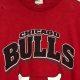 Own a Legend: Vintage Chicago Bulls Shirt Collection | Vintage Treasures: Discover Rare Antiques, Collectibles & Retro Finds