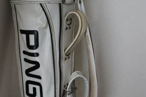 Own a Classic: Vintage Ping Golf Bag Collection Vintage Treasures: Discover Rare Antiques, Collectibles & Retro Finds Own a Classic: Vintage Ping Golf Bag Collection | Vintage Treasures: Discover Rare Antiques, Collectibles & Retro Finds