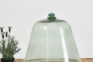 Antique Vintage Glass Cloche: History & Display Vintage Treasures: Discover Rare Antiques, Collectibles & Retro Finds Antique Vintage Glass Cloche: History & Display | Vintage Treasures: Discover Rare Antiques, Collectibles & Retro Finds