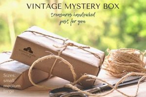 Unboxing Vintage: Mystery Box Treasures Await! Vintage Treasures: Discover Rare Antiques, Collectibles & Retro Finds Unboxing Vintage: Mystery Box Treasures Await! | Vintage Treasures: Discover Rare Antiques, Collectibles & Retro Finds