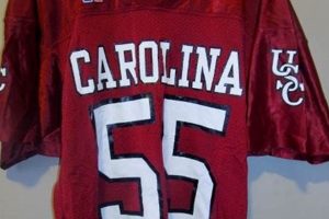 Buy Vintage South Carolina Football Jerseys! Throwback SC Gear Vintage Treasures: Discover Rare Antiques, Collectibles & Retro Finds Buy Vintage South Carolina Football Jerseys! Throwback SC Gear | Vintage Treasures: Discover Rare Antiques, Collectibles & Retro Finds