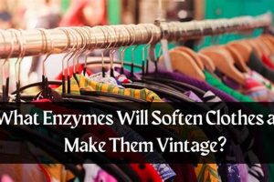 Enzymes: Soften & Vintage Cloths Look! | Guide Vintage Treasures: Discover Rare Antiques, Collectibles & Retro Finds Enzymes: Soften & Vintage Cloths Look! | Guide | Vintage Treasures: Discover Rare Antiques, Collectibles & Retro Finds