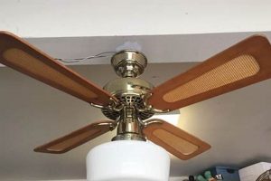 Antique Charm: Vintage Brass Ceiling Fan Guide & Tips Vintage Treasures: Discover Rare Antiques, Collectibles & Retro Finds Antique Charm: Vintage Brass Ceiling Fan Guide & Tips | Vintage Treasures: Discover Rare Antiques, Collectibles & Retro Finds