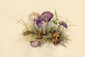 Discover Vintage Watercolor Art Today! Vintage Treasures: Discover Rare Antiques, Collectibles & Retro Finds Discover Vintage Watercolor Art Today! | Vintage Treasures: Discover Rare Antiques, Collectibles & Retro Finds