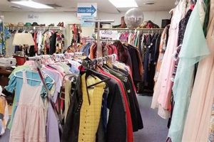 Shop Knoxville TN Vintage Clothing: Unique Finds! Vintage Treasures: Discover Rare Antiques, Collectibles & Retro Finds Shop Knoxville TN Vintage Clothing: Unique Finds! | Vintage Treasures: Discover Rare Antiques, Collectibles & Retro Finds