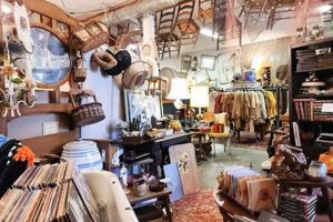 Shop Retro: Vintage Stores Charlotte NC Gems Found! Vintage Treasures: Discover Rare Antiques, Collectibles & Retro Finds Shop Retro: Vintage Stores Charlotte NC Gems Found! | Vintage Treasures: Discover Rare Antiques, Collectibles & Retro Finds