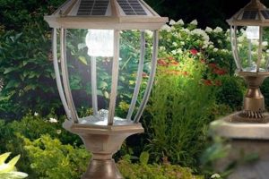 Timeless Vintage Solar Lights: Style & Savings! Vintage Treasures: Discover Rare Antiques, Collectibles & Retro Finds Timeless Vintage Solar Lights: Style & Savings! | Vintage Treasures: Discover Rare Antiques, Collectibles & Retro Finds