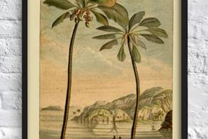 Collecting Vintage Palm Tree Art Prints + Decor Vintage Treasures: Discover Rare Antiques, Collectibles & Retro Finds Collecting Vintage Palm Tree Art Prints + Decor | Vintage Treasures: Discover Rare Antiques, Collectibles & Retro Finds