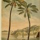 Collecting Vintage Palm Tree Art Prints + Decor | Vintage Treasures: Discover Rare Antiques, Collectibles & Retro Finds