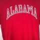 Vintage Alabama Crimson Tide Shirt | Vintage Treasures: Discover Rare Antiques, Collectibles & Retro Finds