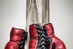 Own a Piece of History: Red Vintage Boxing Gloves for Collectors Vintage Treasures: Discover Rare Antiques, Collectibles & Retro Finds Own a Piece of History: Red Vintage Boxing Gloves for Collectors | Vintage Treasures: Discover Rare Antiques, Collectibles & Retro Finds